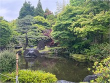 010- Gardens-Hemeji-Castle